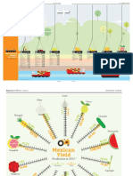 Mexican Agro-industry Infographic