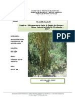 Plan de Reforestación Del Barranco Vicente Najar Ok