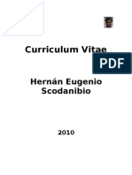 Curriculum Vitae 3