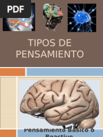 Tipos de Pensamiento