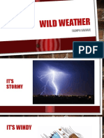 Wild Weather: Tiempo Salvaje