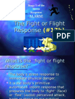 The Fight or Flight Response