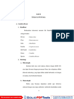 Fase-Fase Pertumbuhan Candida