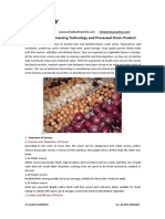 Onions Deep Processing Technology and Processed Onion Product