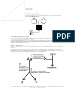 Bases Bioquímicas Da Hereditariedade