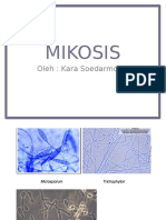 238946597-Mikosis