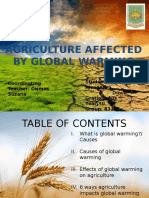 AGRICULTURE-AFFECTED-BY-GLOBAL-WARMING (1).pptx