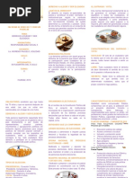 Derecho a Elegir y Ser Elegido Triptico