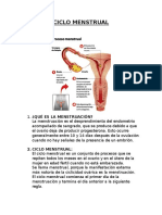 Ciclo menstrual.docx