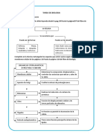 Biologia - Encarnacion