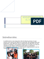 ArchivoExamenPractico_1_5S