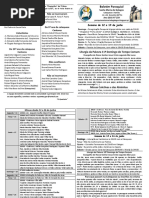 Boletim Santa Maria 17