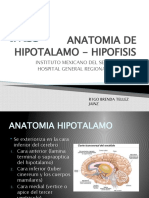 Anatomia de Hipotalamo Hipofisis y Nucleos Cos