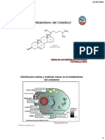 Metabolismo Del Colesterol (De Baynes)