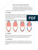 Capitulo 4 Anatomia