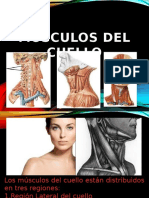 Musculos LATERALES CUELLO