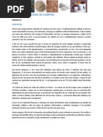 NEWSLETTER LICINIA DE CAMPOS  29 - flor do sal.pdf