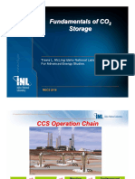 Fundamentals of Geologic CO2 Storage