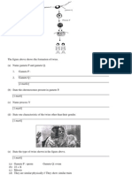 The Figure Above Shows The Formation of Twins