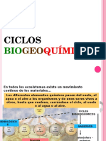 Ciclos-Biogeoquímicos-14b