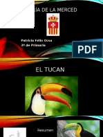 Tucan 