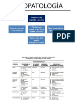 nutrición-marasmo