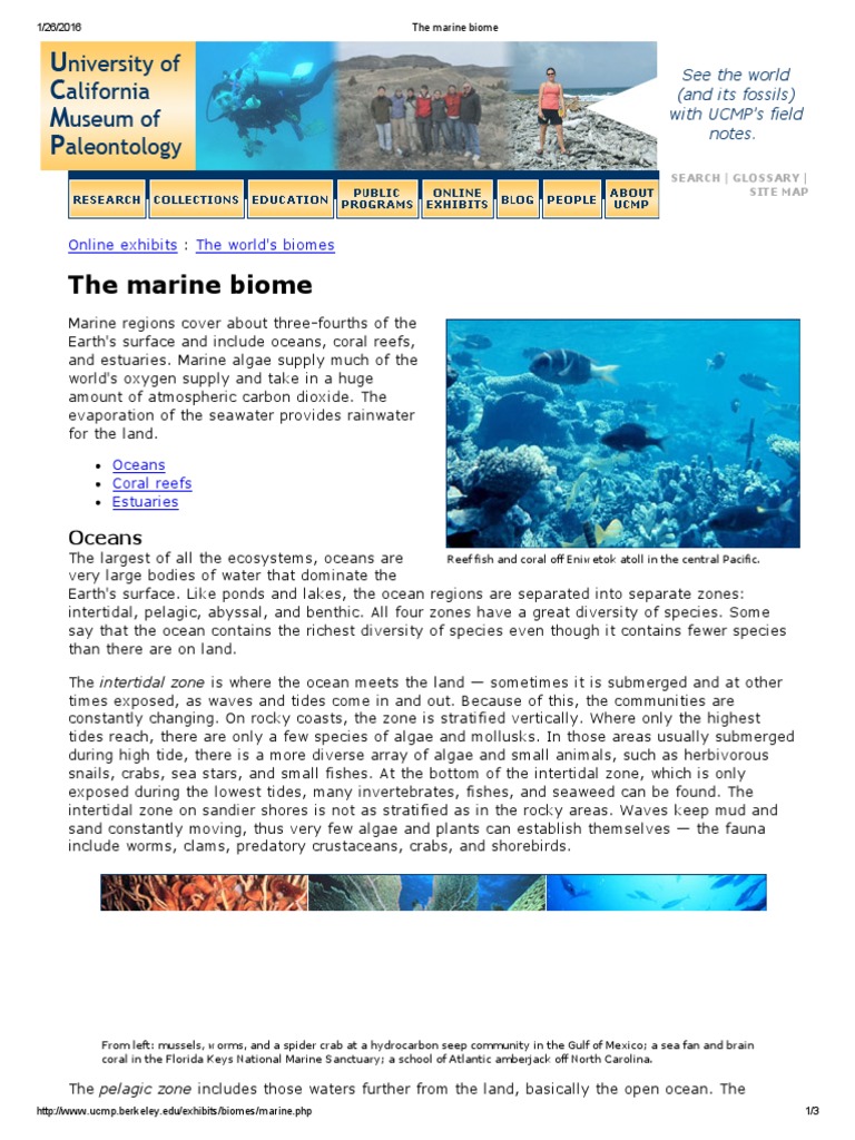 Characteristics of aquatic biomes image