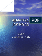 Nematoda Jaringan