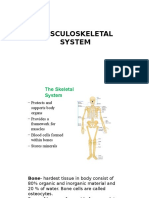 Musculoskeletal System