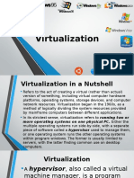 Virtual Ization