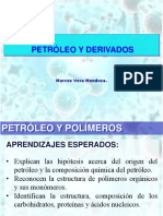 Patroleos y Derivados