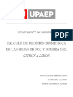 Cálculo de Medición Biométrica de Las Hojas de Sol y Sombra Del Citrus X Limon