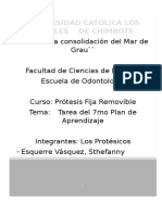 Qué Manifestaciones Clínicas Tiene La Mucosa Oral Después de 6 Meses de Uso de Prótesis Con Conector Mayor Son Flexible