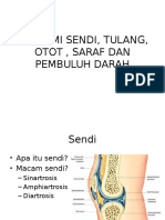 Anatomi Sendi, Tulang, Otot, Saraf
