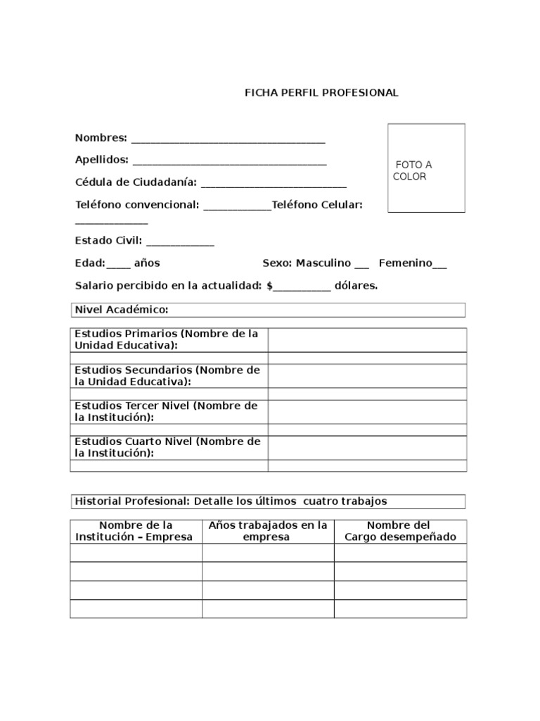 Ficha de Perfil Profesional | PDF | Crecimiento personal y profesional ...