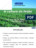 A cultura do feijão_Parte I.pptx