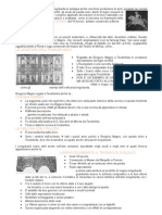 Istituzioni Di Storia Dell'arte 1 Primo Modulo Punti 5-6 - 8