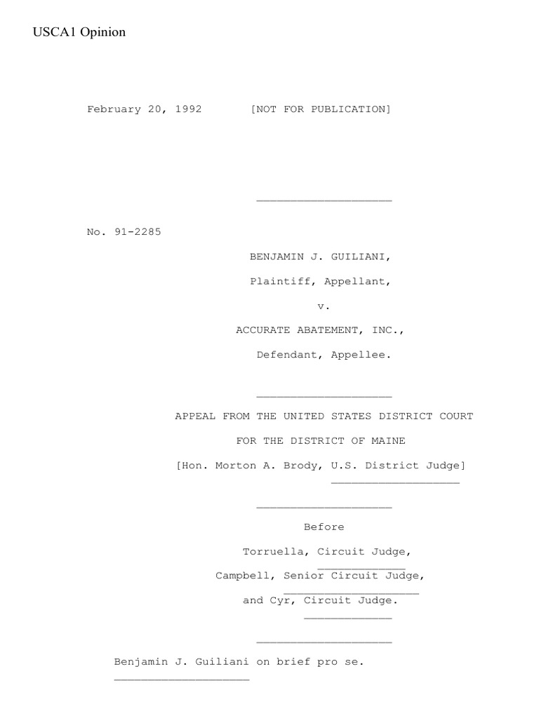 Guiliani v. Abatement, Inc., 1st Cir. (1992) | PDF