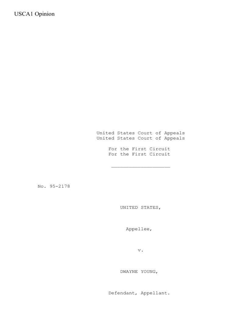 United States v. Young, 1st Cir. (1997) PDF Probable Cause Search