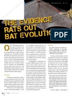 Evidence Rats Out Bat Evolution