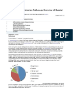 Ovarian Dysgerminomas Pathology