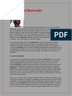 Historia del Rottweiler.pdf