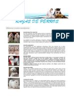 276519400-Razas-de-Perros.pdf