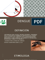 Dengue, Enfoque Fisiopatologico