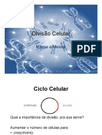 Divisao Celular - Mitose e Meiose PDF