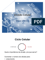 Divisão Celular: Mitose e Meiose em