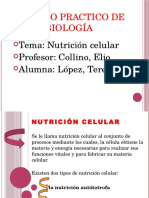 Nutrición Celular