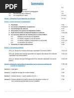 Dossier Euro 5 Sonde Lambda Large Bande