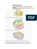 Integración Latinoamericana