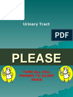 (8) Urinary Tract